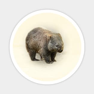 Wombat Magnet